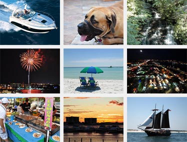 View Our Image Gallery